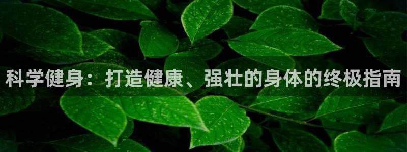 龙8国际官方平台