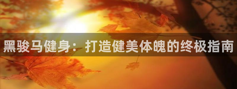 龙8国际手机版