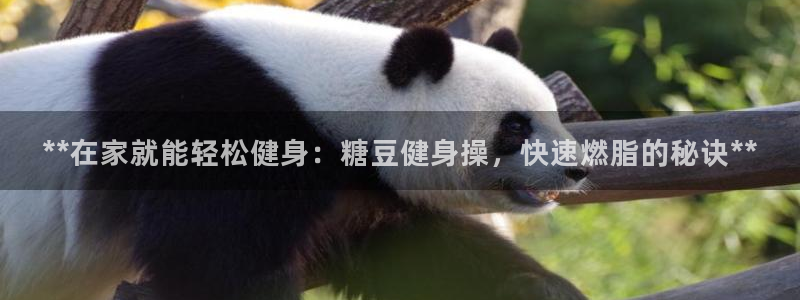 龙八国际app客户端下载