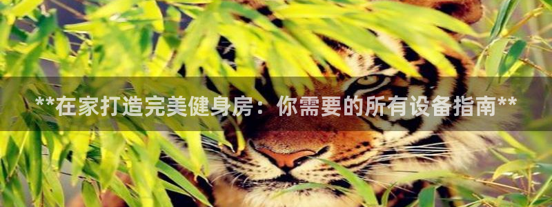龙八国际app下载客户端