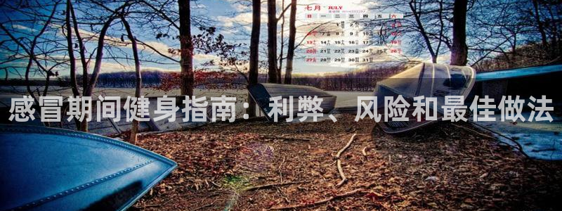 龙8游戏平台的网站