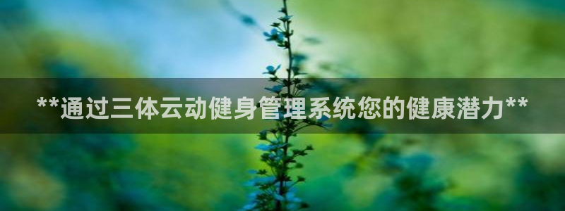 龙8国际服