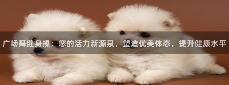 龙8国际app下载安装