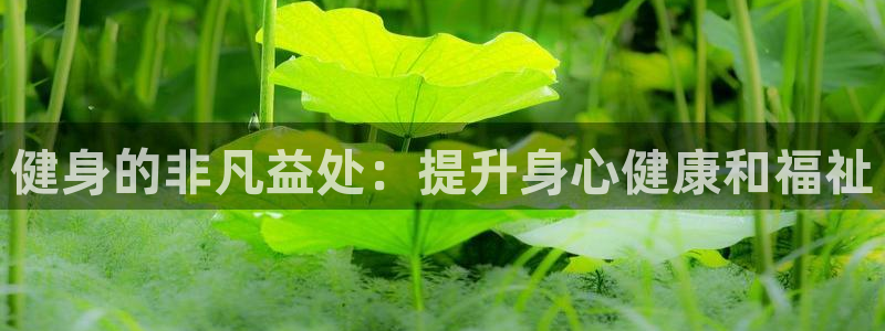 龙八国际娱乐网页多少