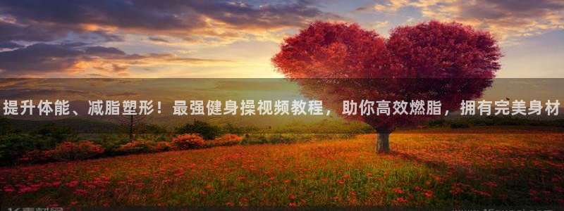 龙8国际平台官网