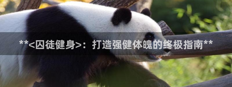 龙8国际黑吗
