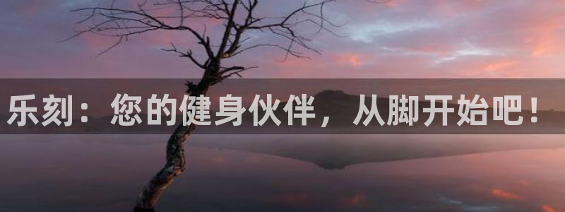 龙8游戏网站