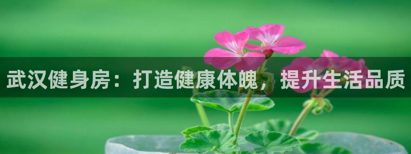 龙8国际官网版玩法