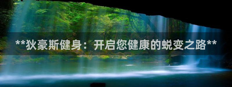 龙8官网国际