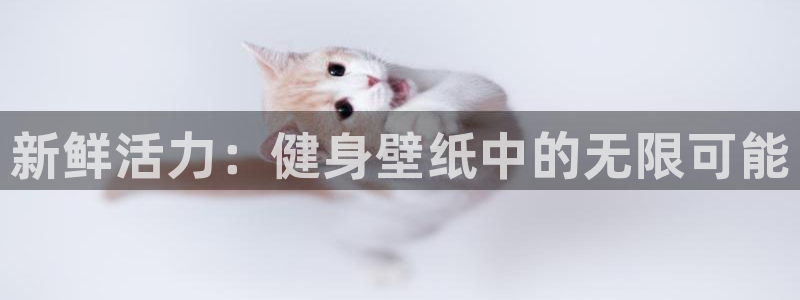龙8游戏官方网站q