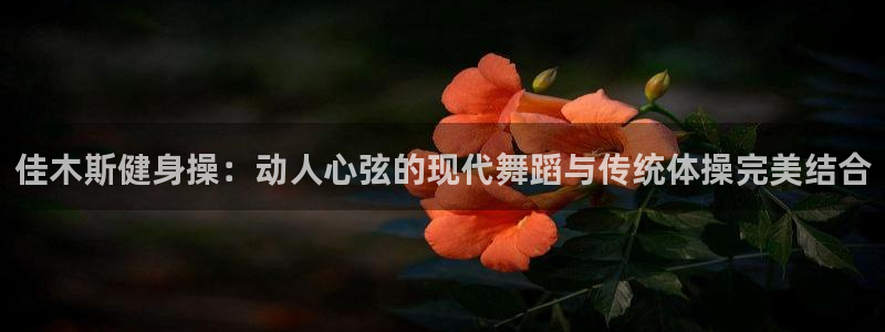 龙8国际唯一官网手游登入口