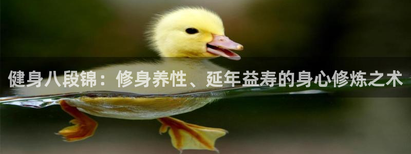 龙8官网手机登入口