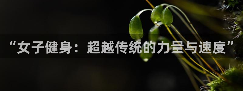 龙8国际官网-点此进入