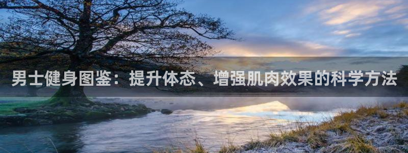 龙8国际游资如何