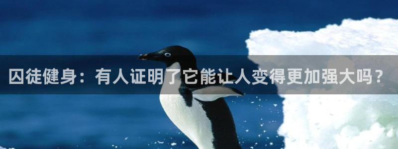 龙8国际中国