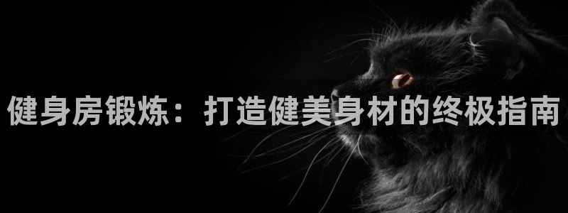 龙八国际唯一官网
