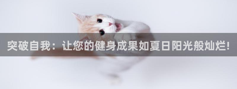 龙8国际官网版最新版下载