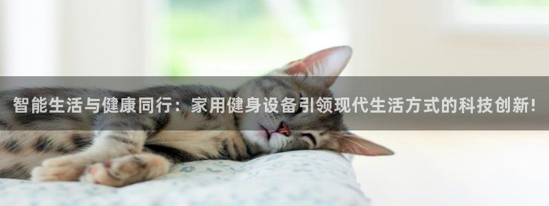 龙八国际app客户端下载不了
