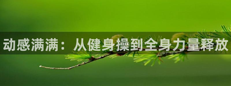 龙8游戏平台的网站