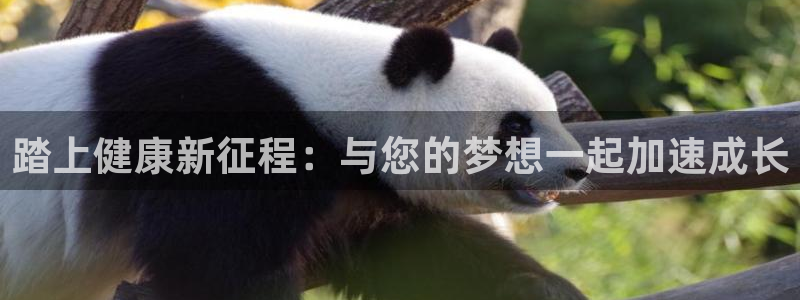龙8国际头号玩家下载