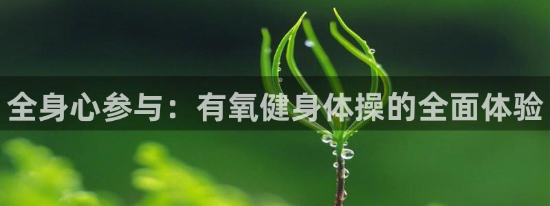 龙8国际网址多少