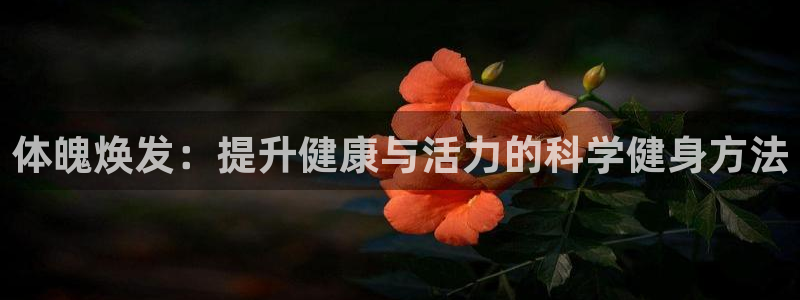 国际龙8唯一登陆