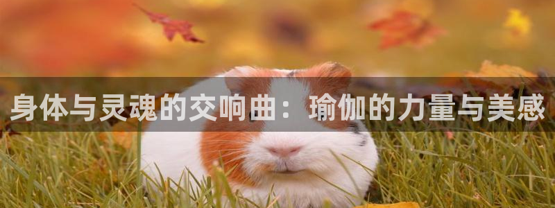 龙8全新客户端安卓版
