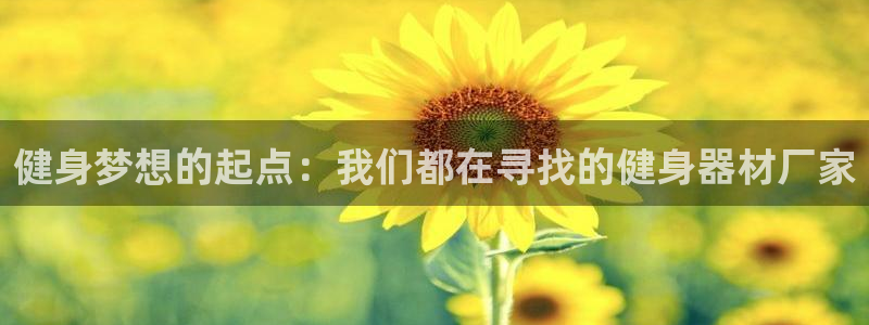 龙8国际备用