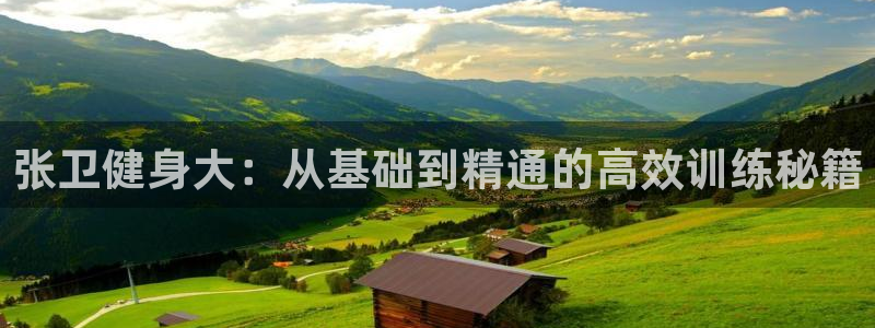 龙8国际的官网