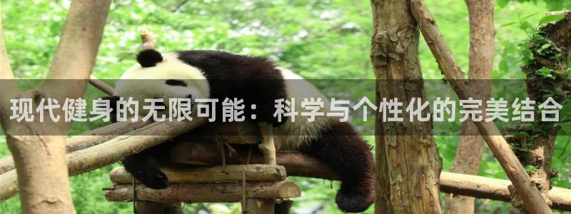 龙8国际试玩