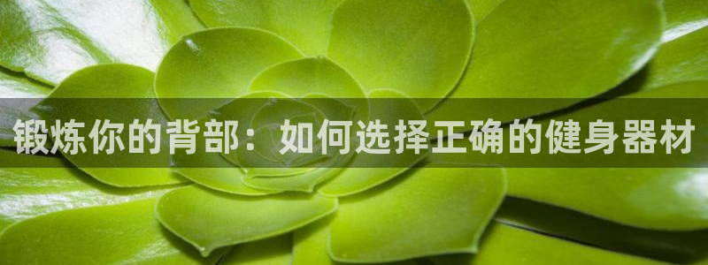 龙8国际app下载官网手机版最新版