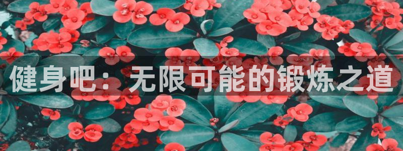 龙8国际官网老虎机