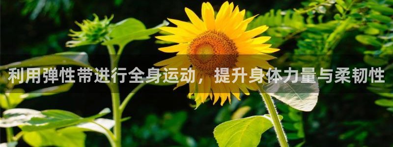 龙8官网正版