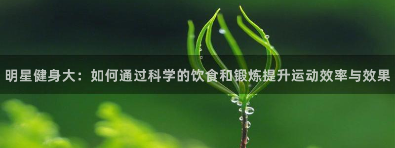 龙8国际官方网站手机版下载