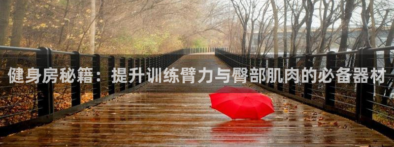 龙8国际版