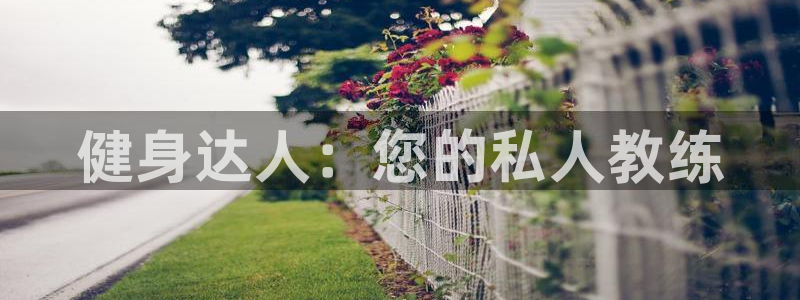 龙8国际服