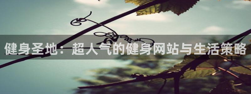 龙8国际总代理
