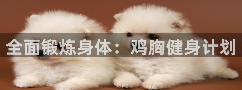 龙8国际官网官方版fxzls天地手游 -kc -安卓
