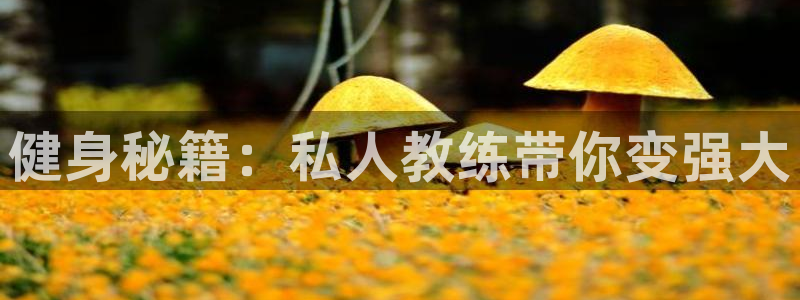 龙8国际唯一官网