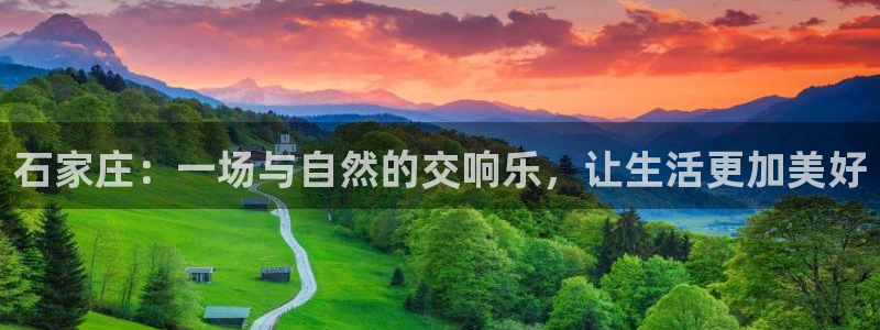 龙8国际官方下载