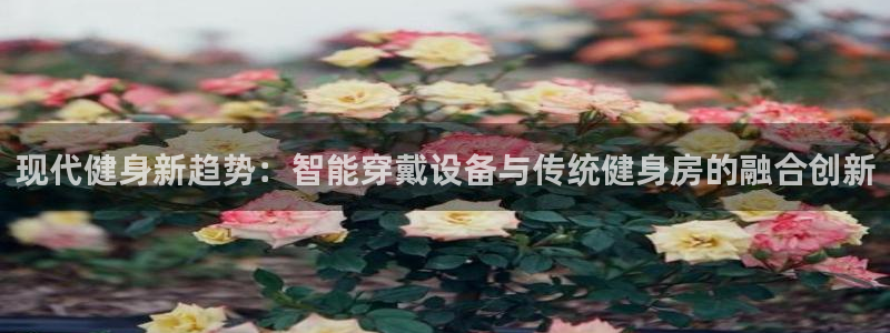 龙8国际游戏