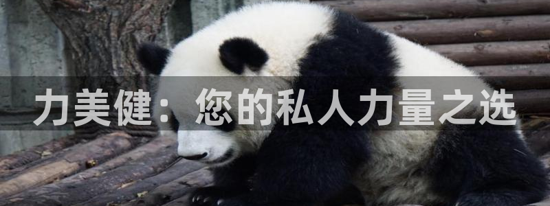龙8国际安卓版版