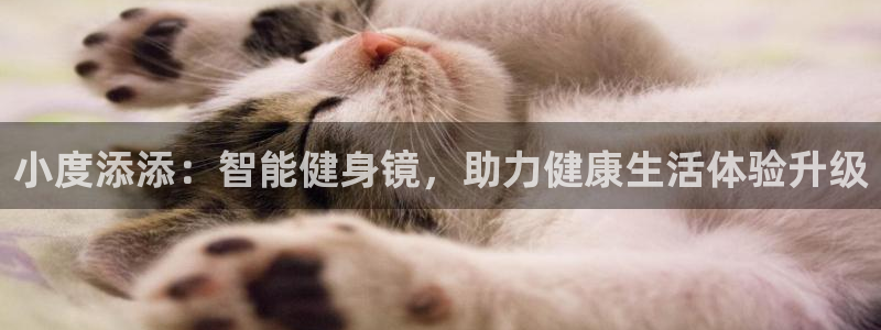 龙8国际官网官方版fxzls天地手游 -kc -安卓