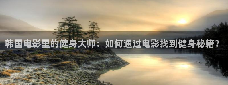 龙 八国际