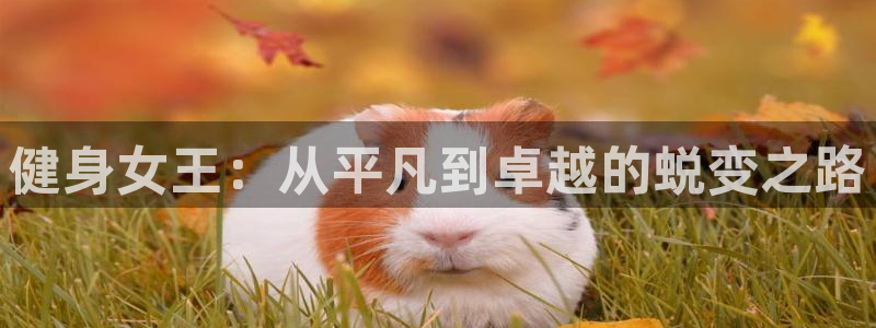 龙8国际官网app下载