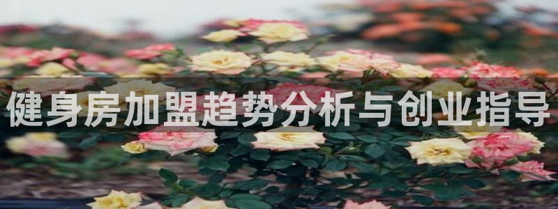 龙8国际官方网站手机版