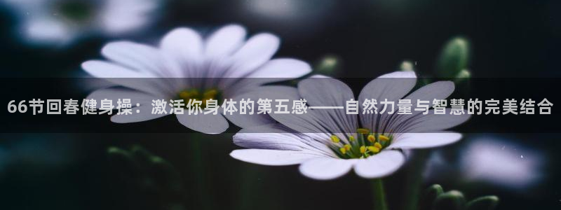 龙8游戏平台官方