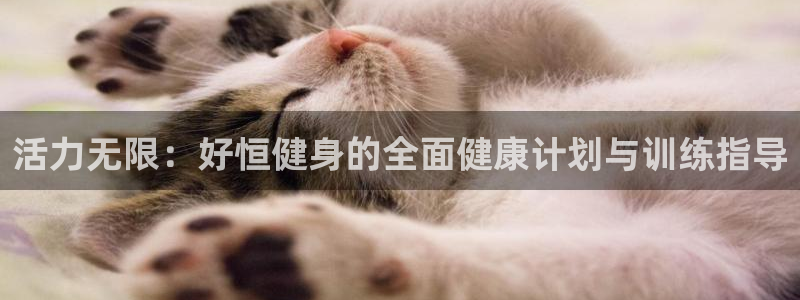 龙8国际2023官方版fxzls安卓-1.2.9 -安卓