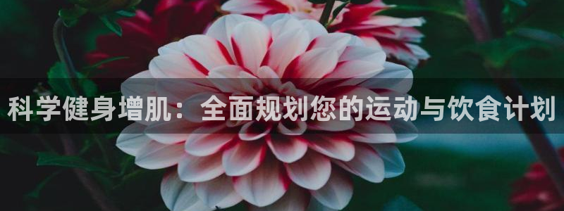 龙8国际是什么平台
