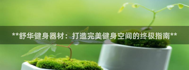 龙八国际娱